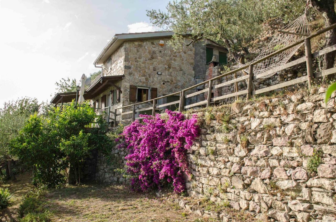Il Sole Di Valletonda Holiday House 克里日亚 外观 照片